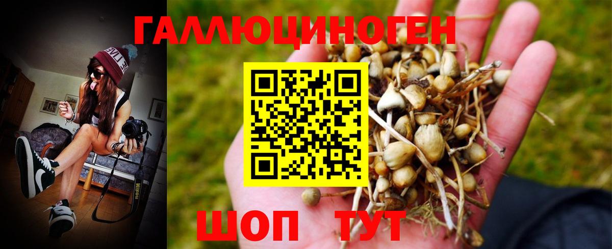 Мыски  Галлюциногенные грибы MAGIC MUSHROOMS  Вход с VPN 