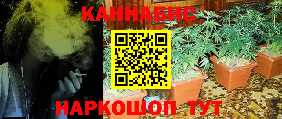 Канабис план Мыски